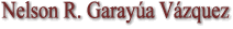 attorneynelson_r__garay_a_v.gif (2578 bytes)